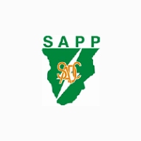 Southern African Power Pool ( SAPP )