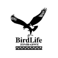 Bird Life Zimbabwe