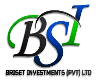 Briset Investments (Pvt) Ltd