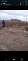 Chitungwiza Zengeza 5 Rockview stand for sale