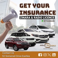 Insurance, ZINARA, Radio License