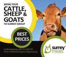 Bring your livestock to Surrey Group and get GOOD prices!