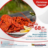 Christmas Crayfish Special! ????