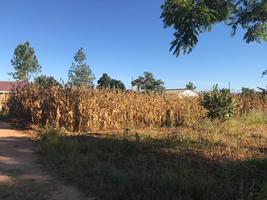 Sally Mugabe Heights: Residential Stand with Cottage for Sale