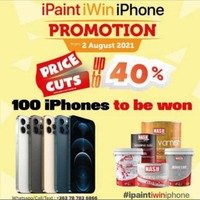 iPaintiWiniPhone Promotion
