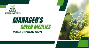 Manager's Green Mealie Pack Promotion