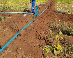 Harare Pumps & Irrigation Photo Album