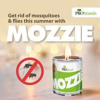 Mozzie Insects/Mosquitoes Repelent Candles