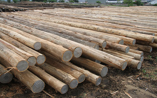 Untreated Timber