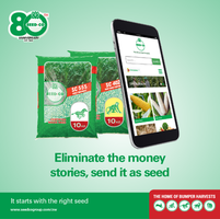 Seed Co. Online Shopping