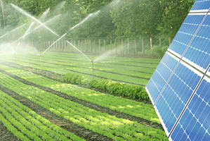 Agriculture and Solar Irrigation