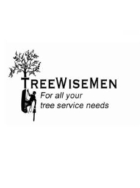 Treewise men