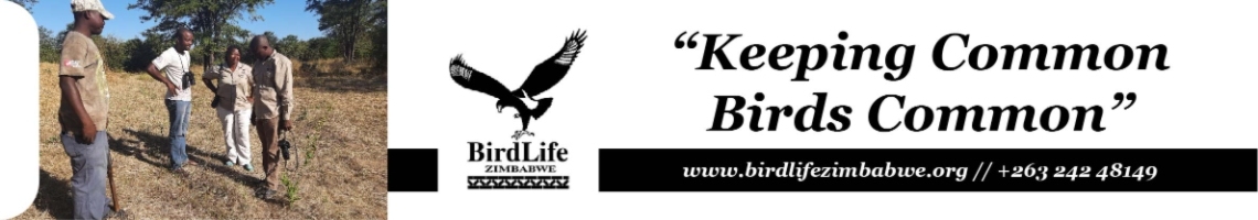 Bird Life Zimbabwe Cover photo