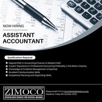 Assistant Accountant